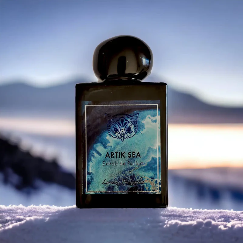 Lorenzo pazzaglia artik sea - Image 4