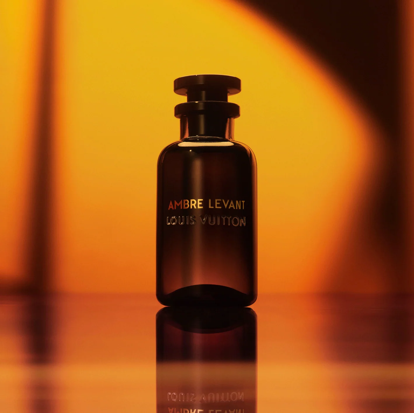 Louis Vuitton Ambre Levant - Image 4