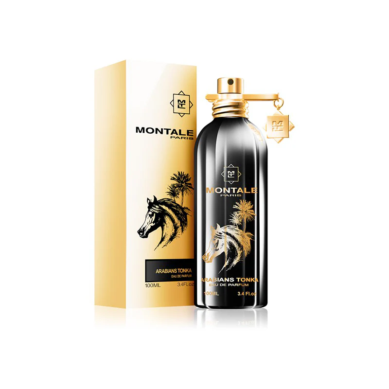Montale Arabians Tonka - Image 2
