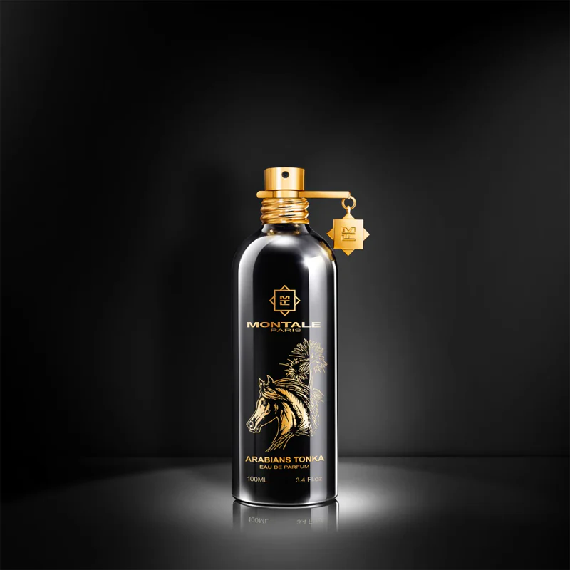 Montale Arabians Tonka - Image 4